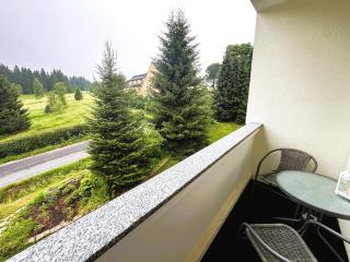 Ferienwohnung 4 Weitersglashütte - 7