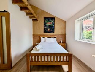 Comfortable studio with free parking - 4