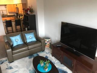 Modern Apt #402 - a Block from St. Pat's Hospital - 2