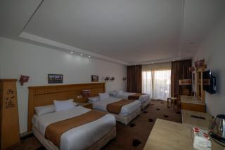 Regency pyramids view hotel - 4