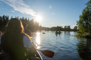 Wilderness Lodge - 2