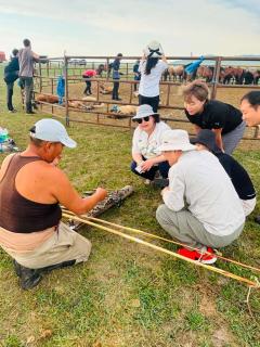 Steppe Horse Camp - 3