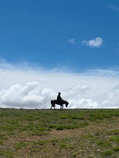 Steppe Horse Camp - 5