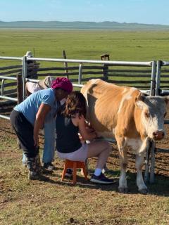 Steppe Horse Camp - 6