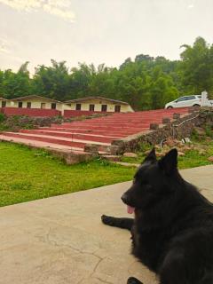 Vistara Resort and Homestay - 9
