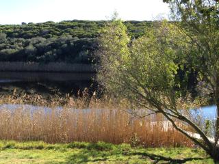 Long Thin Farm - 8