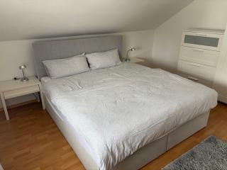 Ferienwohnung in Furth im Wald - 1