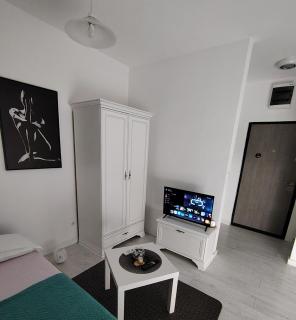 Tanja Apartment - 7