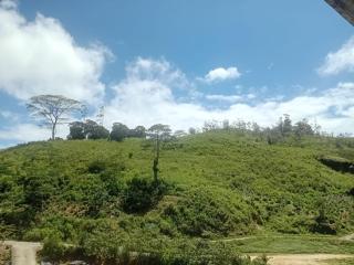 Knuckles Elephant Mount Homestay - 7