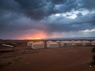 Sahara Caravan - 2