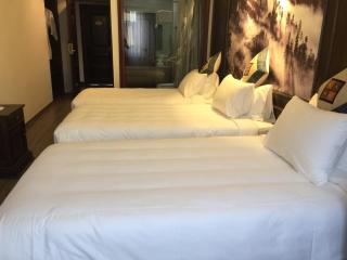 Sapa Delta Hotel - 0