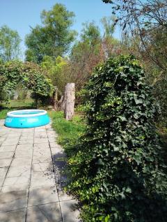 Seaside Garden - 7
