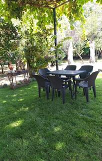 Seaside Garden - 6