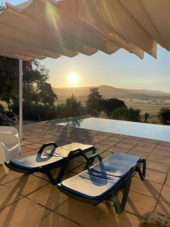 Almojanda 3 Olive Tree - 0