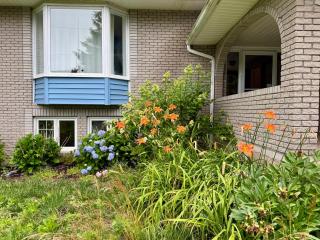 2-bedroom basement in Bedford - 2