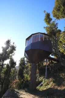Treecasa Resort - 9