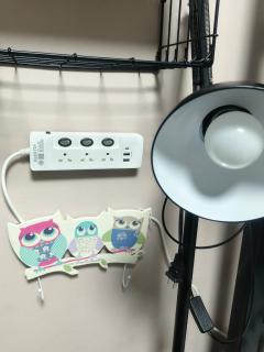 Be Cute Family and Pet Friendly Stay - 2