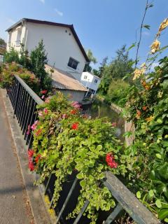 Appartement avec jardin - 1