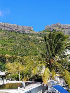 Private Apartment in Port Louis with Mountain Views - 6