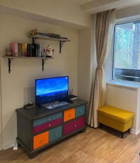 Chamkoria Forest View & Spa Apartment - 8