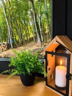 BOHO Forest Retreat - 3