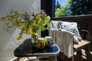 Studio Eden in Winterberg- King-Size Bed - Ski and Bike Park 100 m - 5