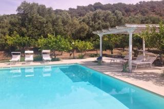 Capovillas -Villa Armonia with private pool near Tropea - 2