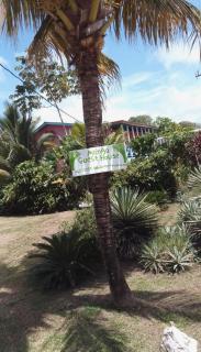 Los Mangoes - 9