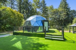 Glass Dome with Private Sauna and Forest Views - 8