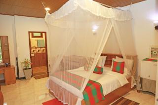 The Dream Homestay - 1