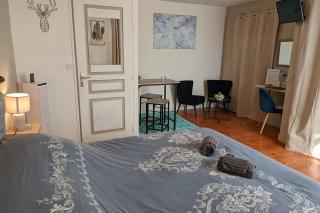Grande chambre cosy indépendante dans le Perche - 7