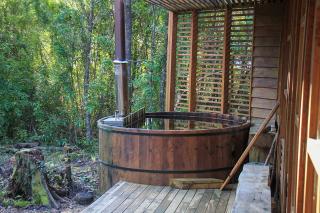 Diseño Arquitectónico y Hot Tub en el bosque - 5
