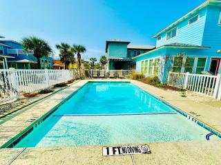 Dolphin Cove - 1