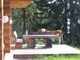 Traum-Blockhaus mit Panoramablick - 5