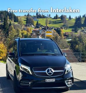 Luxury Swiss Chalet | Lake View • BBQ • A/C • SPA • Interlaken - 8