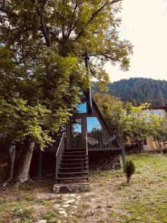 Wonderwood Borjomi Cottage - 9