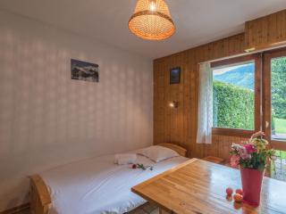 Studio cosy à Chamonix - Animaux admis, parking privé - FR-1-517-21 - 1