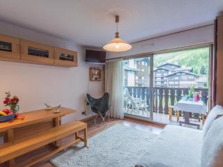 Studio lumineux proche des pistes, animaux admis - FR-1-517-32 - 0