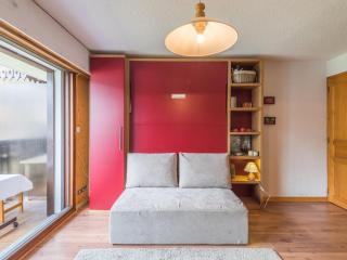 Studio lumineux proche des pistes, animaux admis - FR-1-517-32 - 3