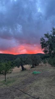 La Tenuta Del Respiro - 4