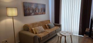 Quiet Apartment in Central Area - 7
