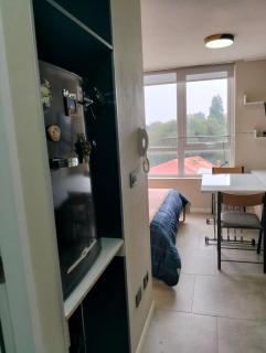 Departamento Estudio a cuadras de Costanera y Casino en Valdivia - 0