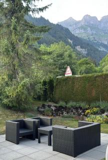 Luxury family apartment Engelberg - 2