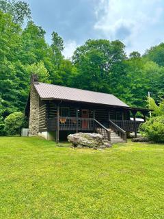 The Willow Nest Cabin, Stone fireplace, Cornhole, Kayaks, Views, Porch - 9