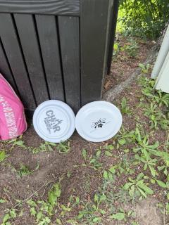 Pony Trail - 0