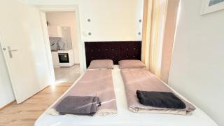 Spacious Apartment Vienna I Mz27 - 9