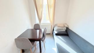 Spacious Apartment Vienna I Mz27 - 8