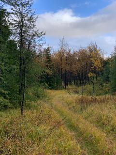 Efri Torfa - Luxury in Nature - Peaceful & Cosy - 4