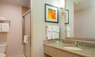 Holiday Inn Stevens Point - Convention Center by IHG - 1