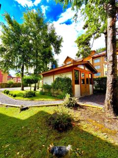 Departamento en Pucon - 5